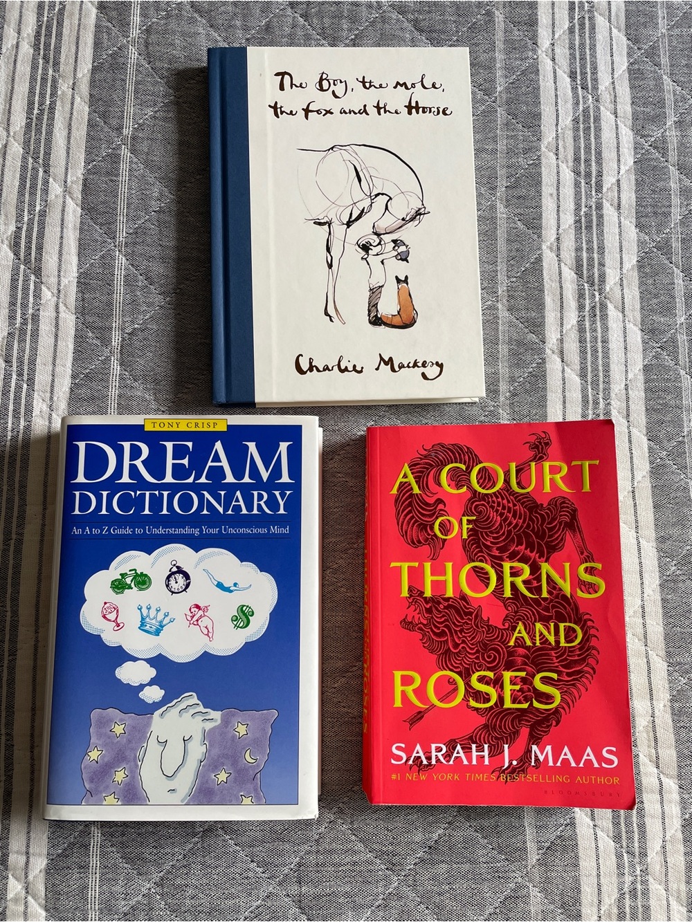 Dream Dictionary & A Court of Thorns and Roses (book 1)